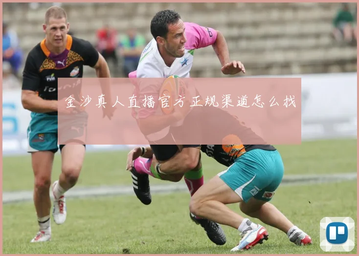 金沙真人直播官方正规渠道怎么找